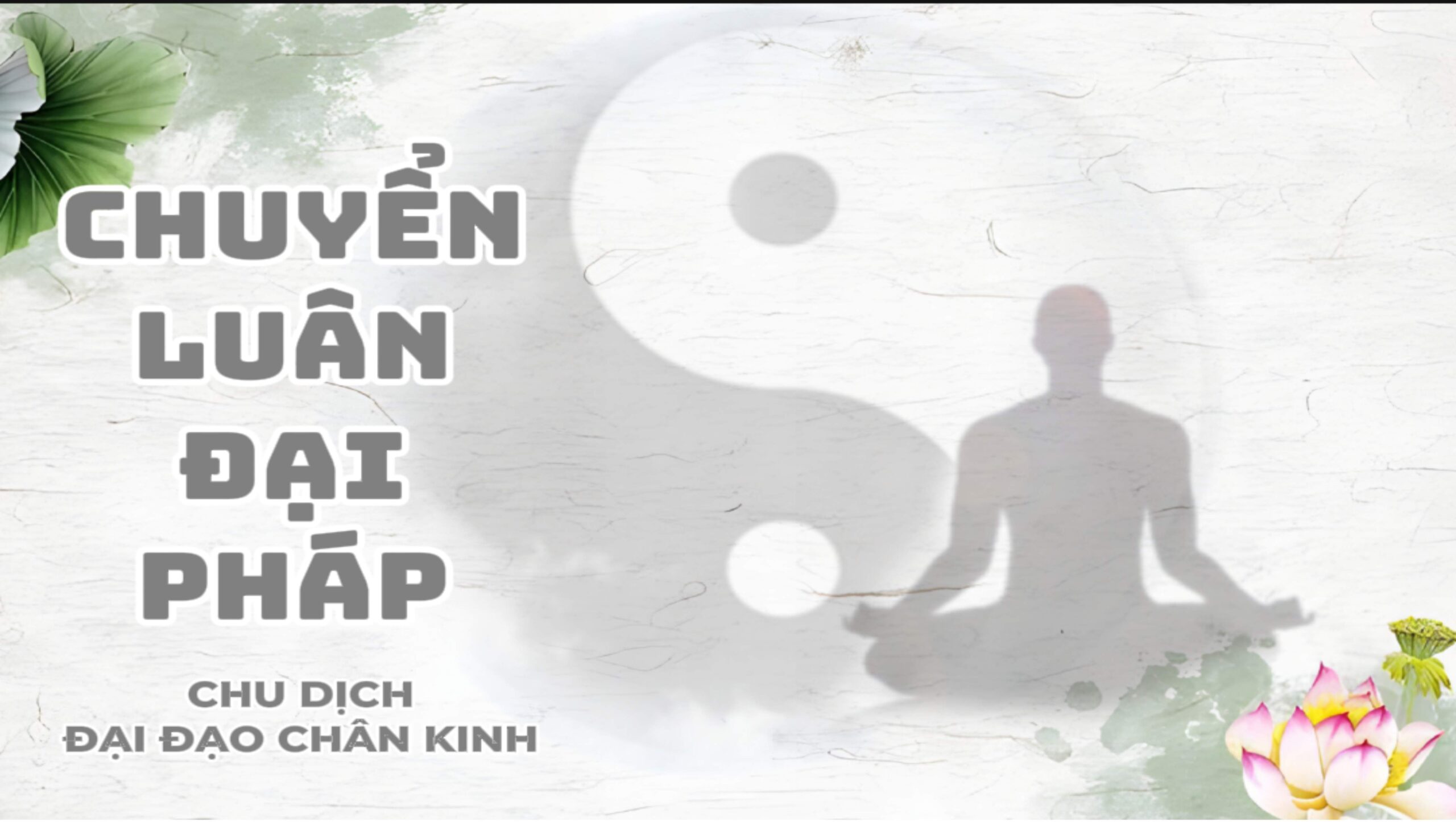 CHUYỂN LUÂN ĐẠI PHÁP CHU DỊCH ĐẠI ĐẠO CHÂN KINH